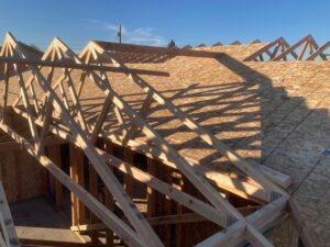 framing 2-22-21 (2)